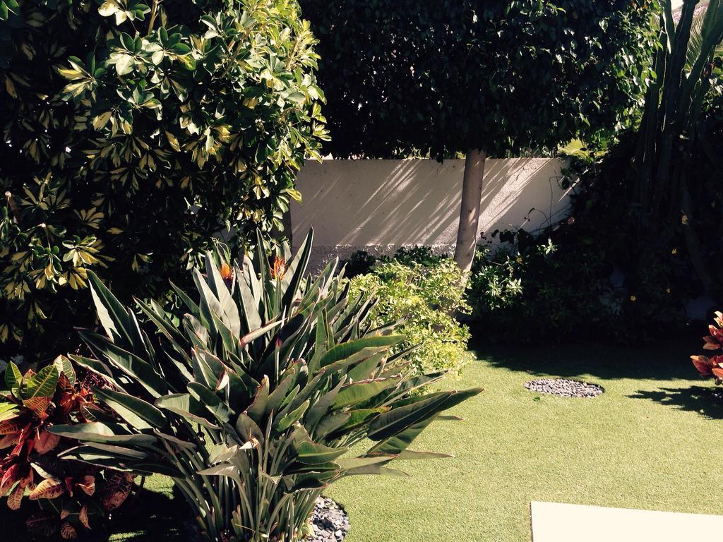 Villa Parque Del Conde, Ocean View Costa Adeje  ภายนอก รูปภาพ